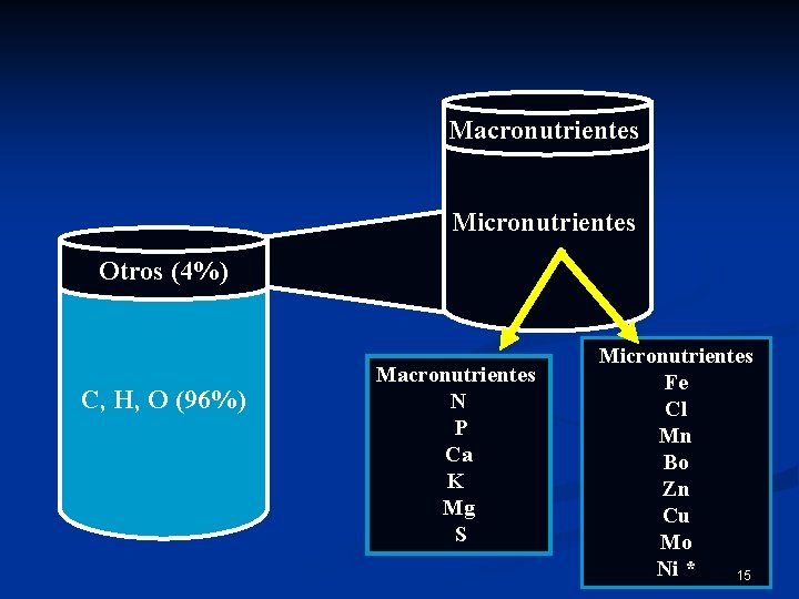 Macronutrientes Micronutrientes Otros (4%) C, H, O (96%) Macronutrientes N P Ca K Mg