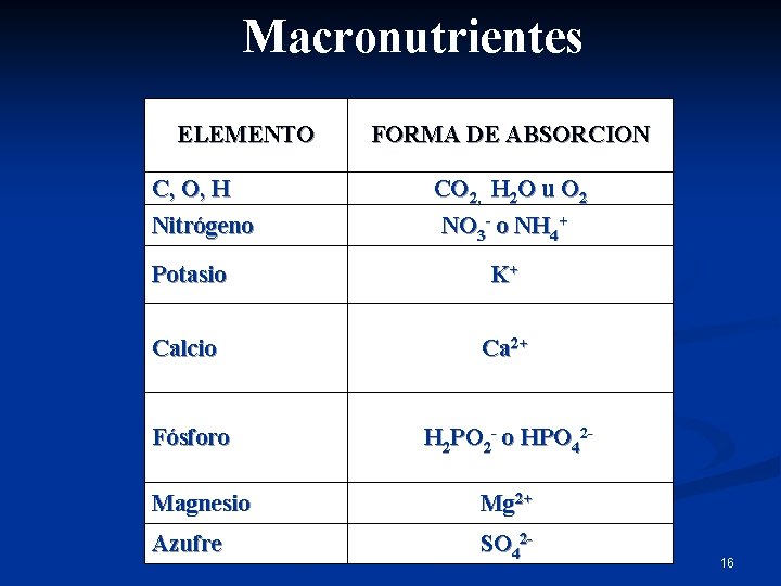 Macronutrientes ELEMENTO C, O, H Nitrógeno FORMA DE ABSORCION CO 2, H 2 O