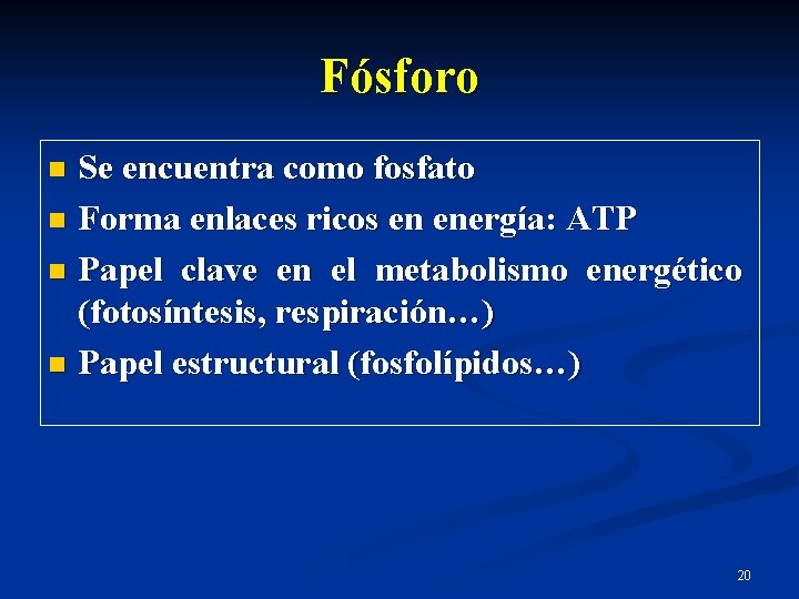 Fósforo Se encuentra como fosfato n Forma enlaces ricos en energía: ATP n Papel