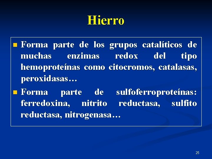 Hierro Forma parte de los grupos catalíticos de muchas enzimas redox del tipo hemoproteínas