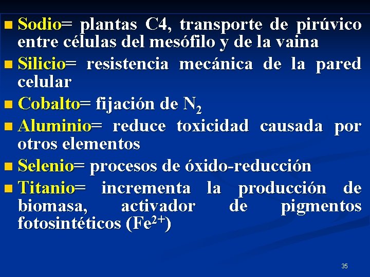 n Sodio= plantas C 4, transporte de pirúvico entre células del mesófilo y de