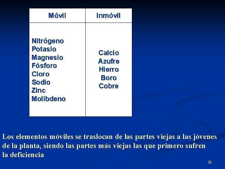 Móvil Nitrógeno Potasio. Magnesio Fósforo Cloro Sodio Zinc Molibdeno Inmóvil Calcio Azufre Hierro Boro