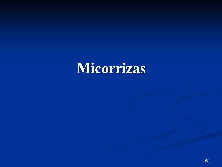 Micorrizas 62 