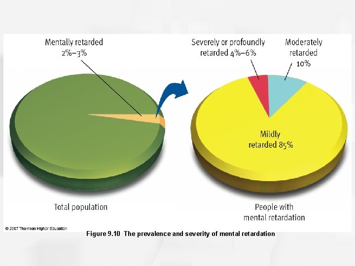 Figure 9. 10 The prevalence and severity of mental retardation 
