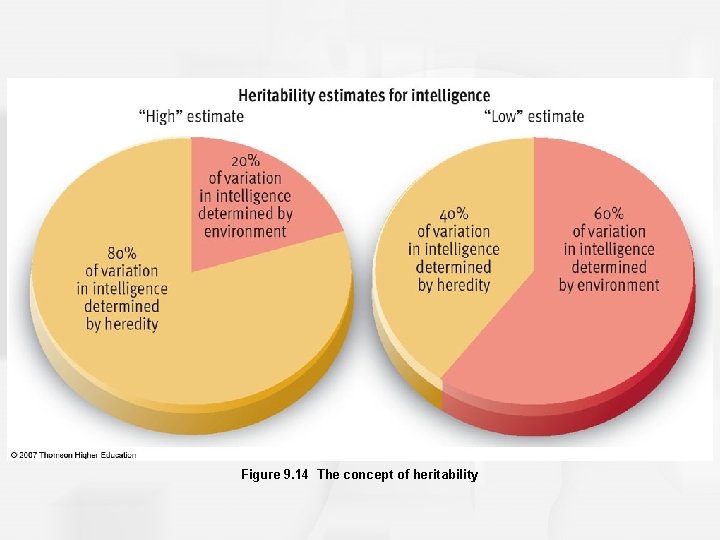 Figure 9. 14 The concept of heritability 