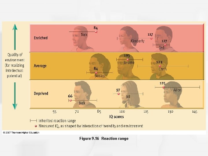 Figure 9. 16 Reaction range 