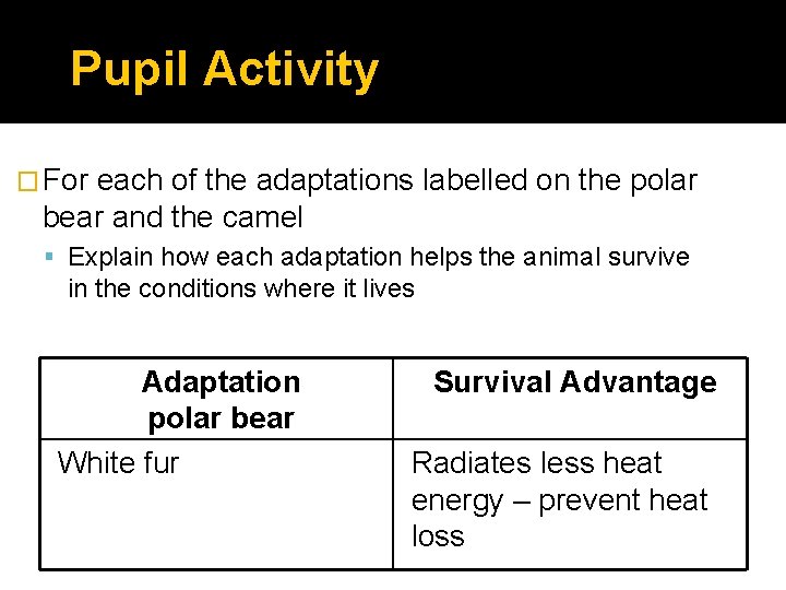 Pupil Activity � For each of the adaptations labelled on the polar bear and