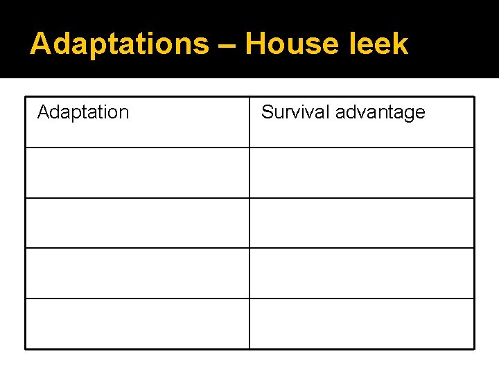 Adaptations – House leek Adaptation Survival advantage 
