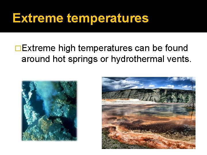 Extreme temperatures �Extreme high temperatures can be found around hot springs or hydrothermal vents.