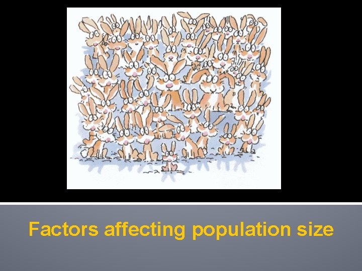 Factors affecting population size 