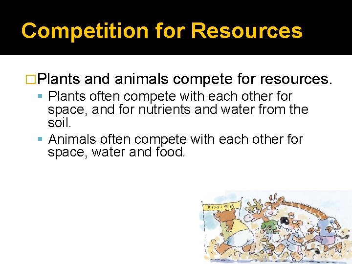 Competition for Resources �Plants and animals compete for resources. Plants often compete with each