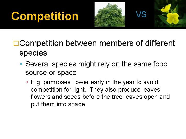 Competition VS �Competition between members of different species Several species might rely on the
