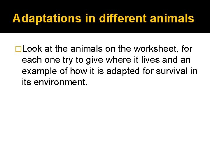 Adaptations in different animals �Look at the animals on the worksheet, for each one