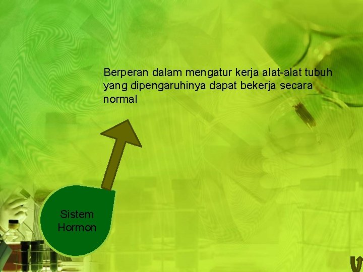 Berperan dalam mengatur kerja alat-alat tubuh yang dipengaruhinya dapat bekerja secara normal Sistem Hormon