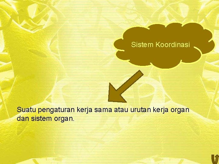 Sistem Koordinasi Suatu pengaturan kerja sama atau urutan kerja organ dan sistem organ. 