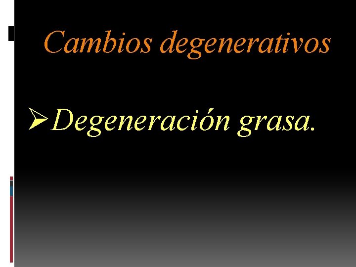 Cambios degenerativos ØDegeneración grasa. 