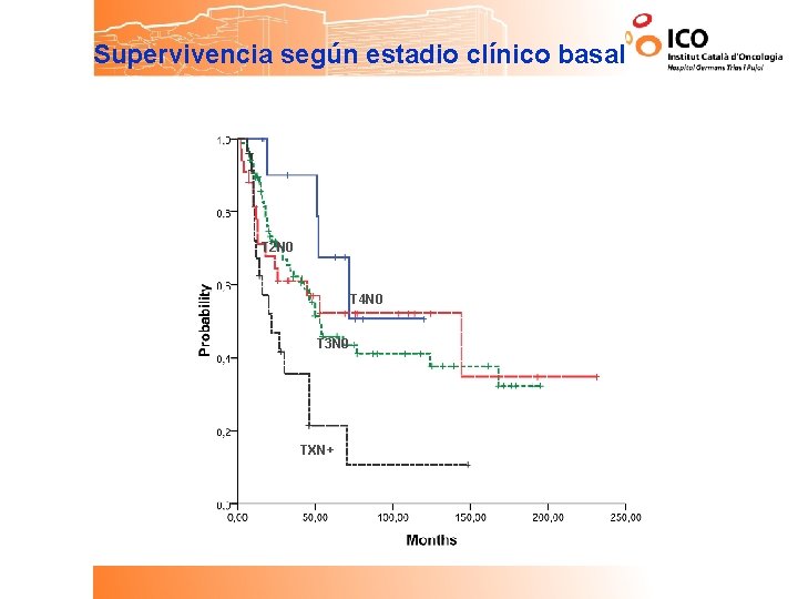 Supervivencia según estadio clínico basal T 2 N 0 T 4 N 0 T