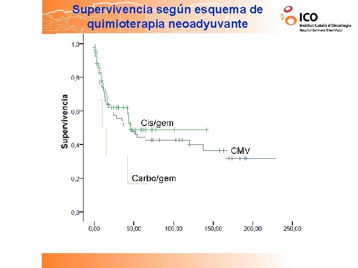 Supervivencia según esquema de quimioterapia neoadyuvante 