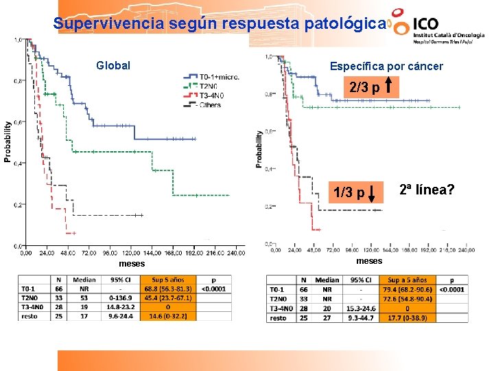 Supervivencia según respuesta patológica Global Específica por cáncer 2/3 p 1/3 p meses 2ª