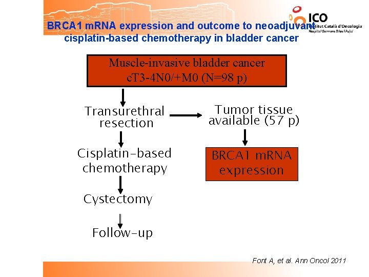 BRCA 1 m. RNA expression and outcome to neoadjuvant cisplatin-based chemotherapy in bladder cancer