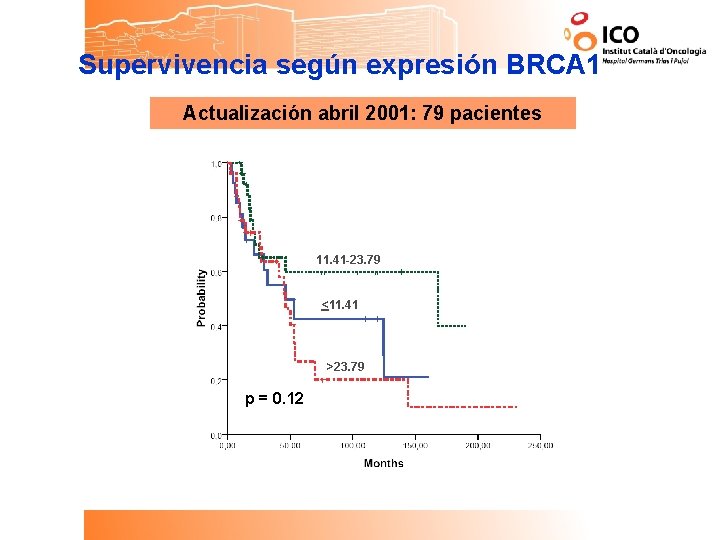 Supervivencia según expresión BRCA 1 Actualización abril 2001: 79 pacientes 11. 41 -23. 79