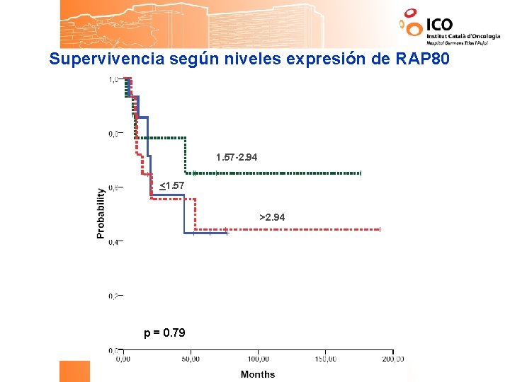 Supervivencia según niveles expresión de RAP 80 1. 57 -2. 94 <1. 57 >2.