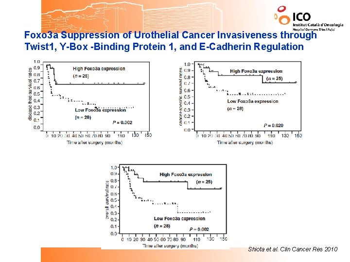 Foxo 3 a Suppression of Urothelial Cancer Invasiveness through Twist 1, Y-Box -Binding Protein