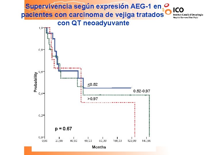Supervivencia según expresión AEG-1 en pacientes con carcinoma de vejiga tratados con QT neoadyuvante