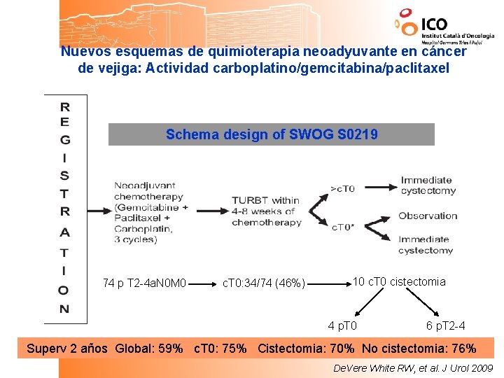 Nuevos esquemas de quimioterapia neoadyuvante en cáncer de vejiga: Actividad carboplatino/gemcitabina/paclitaxel Schema design of