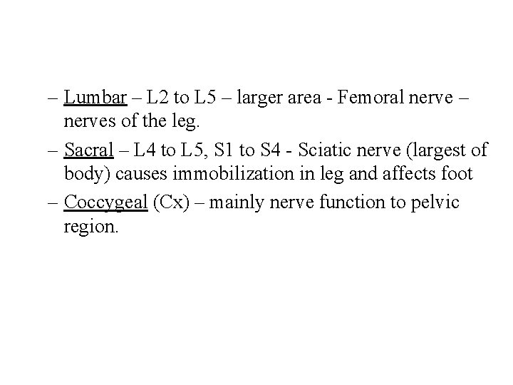 – Lumbar – L 2 to L 5 – larger area - Femoral nerve