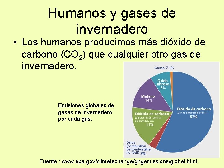 Humanos y gases de invernadero • Los humanos producimos más dióxido de carbono (CO