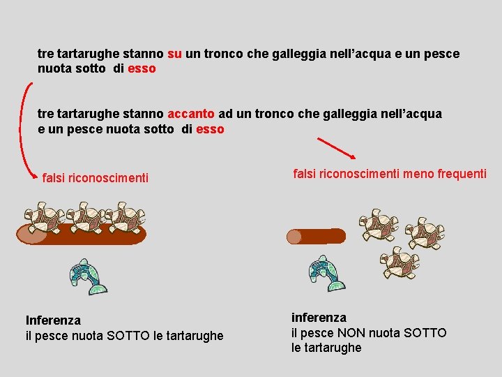 tre tartarughe stanno su un tronco che galleggia nell’acqua e un pesce nuota sotto