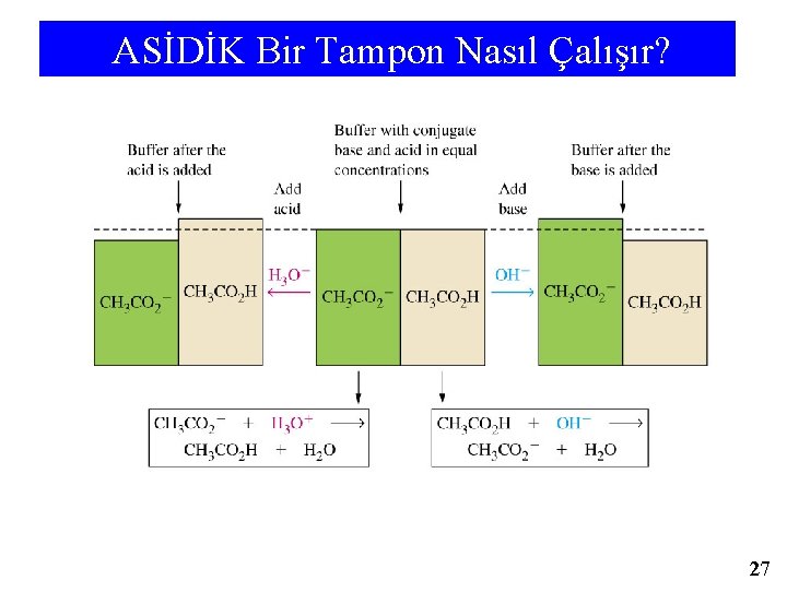 ASİDİK Bir Tampon Nasıl Çalışır? 27 