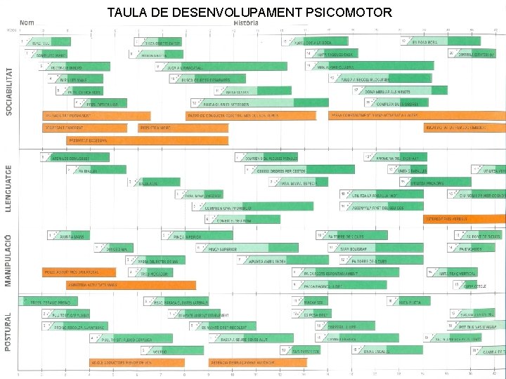 T TAULADE DEDESENVOLUPAMENTPSICOMOTOR T TAULADE DEDESENVOLUPAMENTPSICOMOTOR