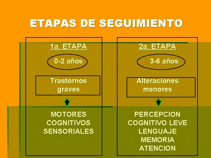 ETAPAS DE SEGUIMIENTO 1 a. ETAPA 0 -2 años 2 a. ETAPA 3 -6 ETAPAS DE SEGUIMIENTO 1 a. ETAPA 0 -2 años 2 a. ETAPA 3 -6