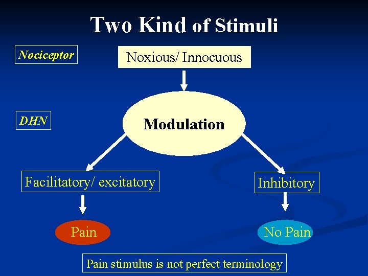 Two Kind of Stimuli Nociceptor Noxious/ Innocuous DHN Modulation Facilitatory/ excitatory Pain Inhibitory No