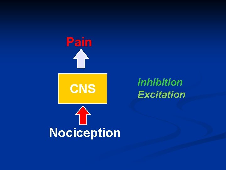 Pain CNS Nociception Inhibition Excitation 