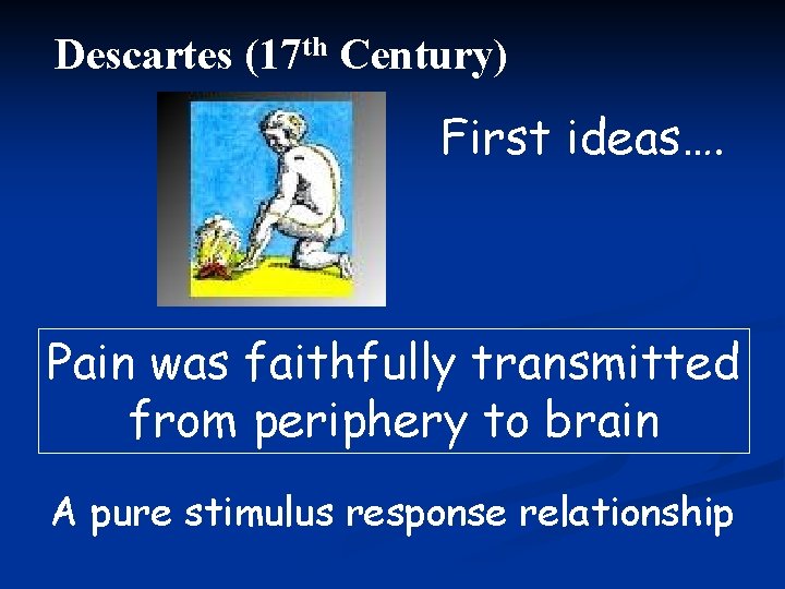 Descartes (17 th Century) First ideas…. Pain was faithfully transmitted from periphery to brain