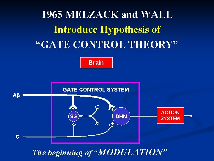 1965 MELZACK and WALL Introduce Hypothesis of “GATE CONTROL THEORY” Brain Aβ GATE CONTROL
