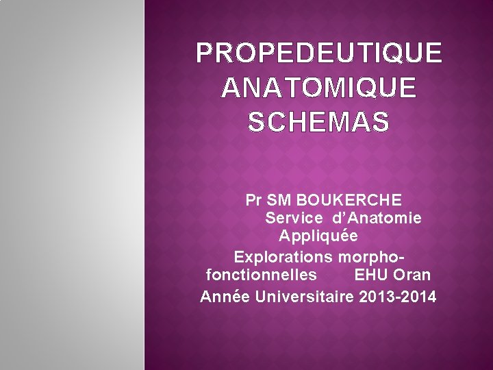 PROPEDEUTIQUE ANATOMIQUE SCHEMAS Pr SM BOUKERCHE Service d’Anatomie Appliquée Explorations morphofonctionnelles EHU Oran Année