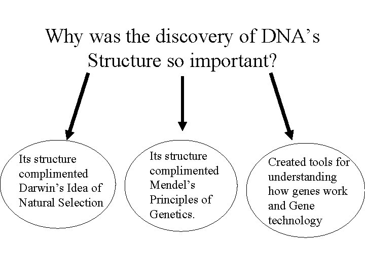 Why was the discovery of DNA’s Structure so important? Its structure complimented Darwin’s Idea