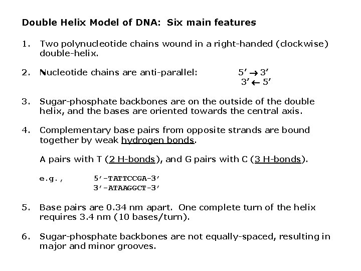 Double Helix Model of DNA: Six main features 1. Two polynucleotide chains wound in