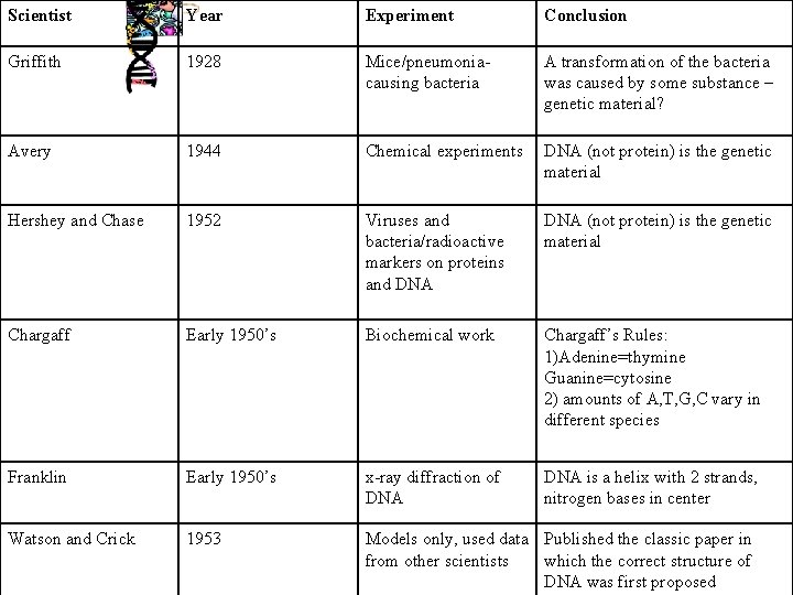 Scientist 1952 1944 1928 Year Experiment Conclusion Griffith 1928 Mice/pneumoniacausing bacteria A transformation of