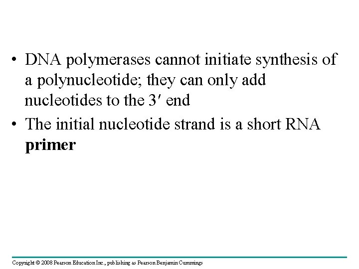  • DNA polymerases cannot initiate synthesis of a polynucleotide; they can only add