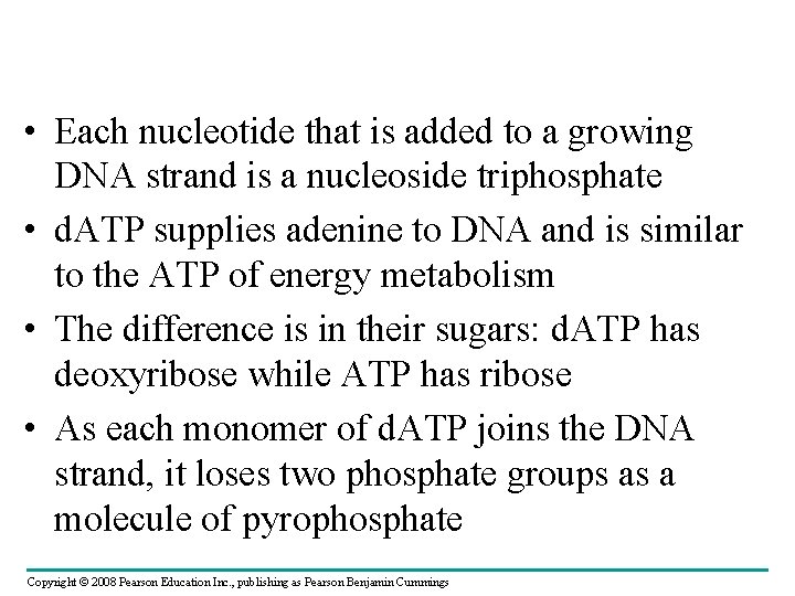  • Each nucleotide that is added to a growing DNA strand is a