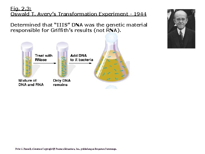 Fig. 2. 3: Oswald T. Avery’s Transformation Experiment - 1944 Determined that “IIIS” DNA