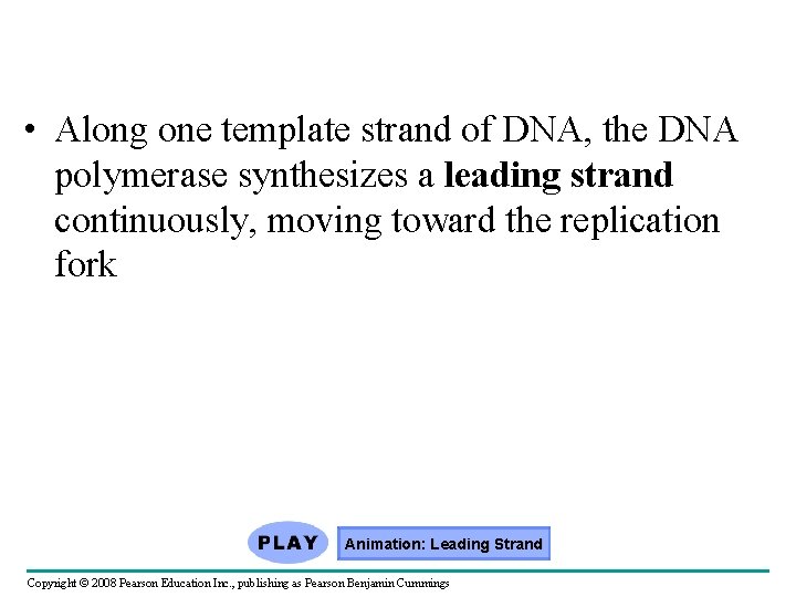  • Along one template strand of DNA, the DNA polymerase synthesizes a leading