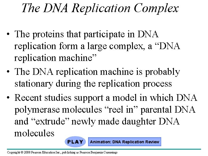 The DNA Replication Complex • The proteins that participate in DNA replication form a