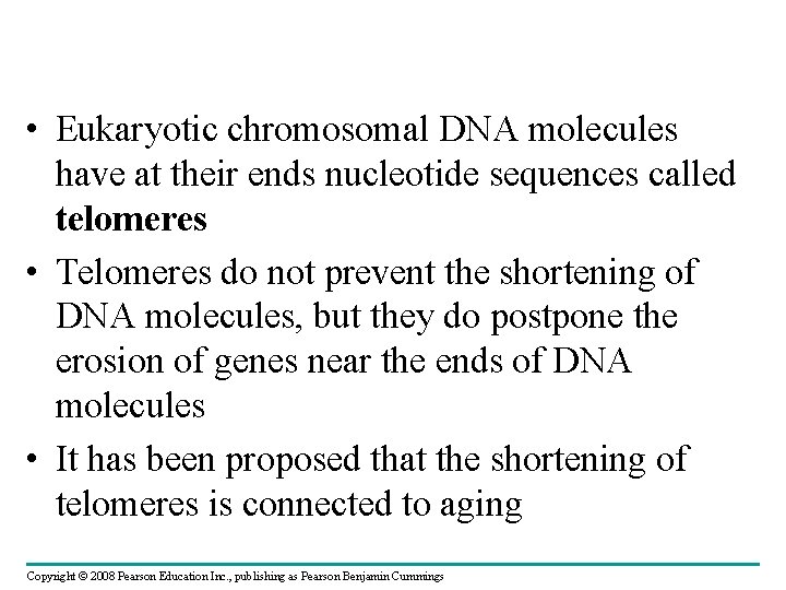  • Eukaryotic chromosomal DNA molecules have at their ends nucleotide sequences called telomeres