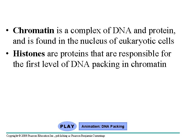  • Chromatin is a complex of DNA and protein, and is found in